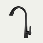 Robinet de cuisine douchette moderne LINA